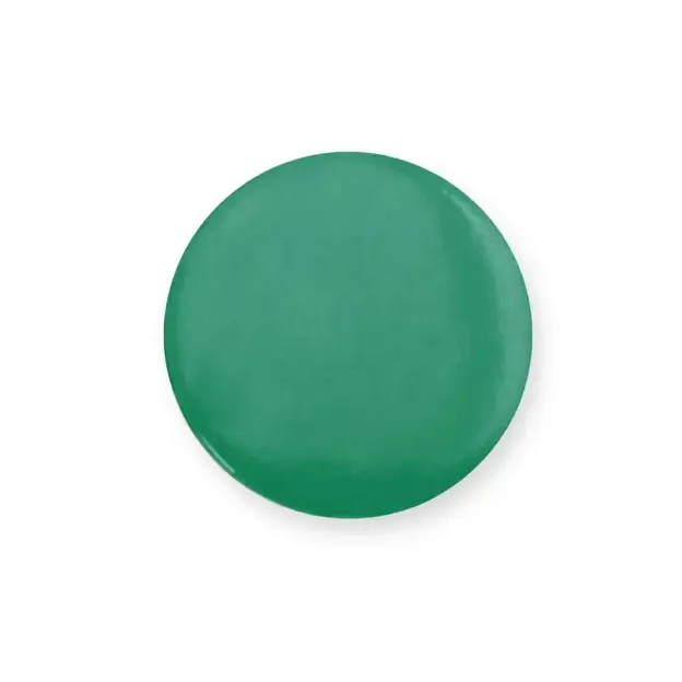 Pin Turmi