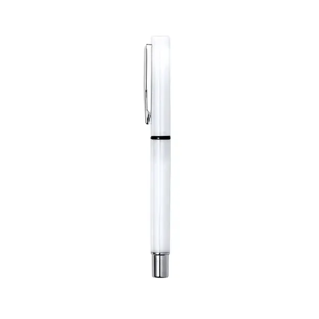 Rollerball pen Leyco