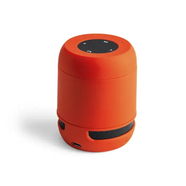 Speaker Braiss