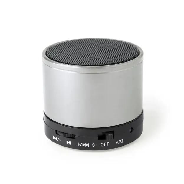 Speaker Martins