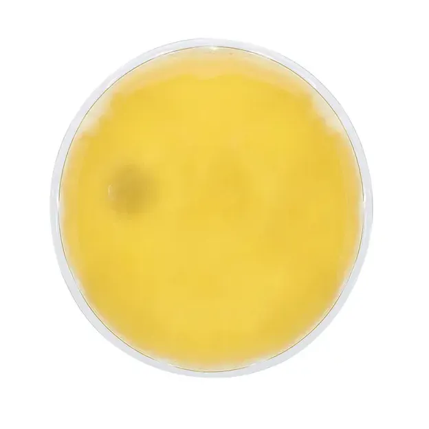 Taschenwärmer Kison - gelb