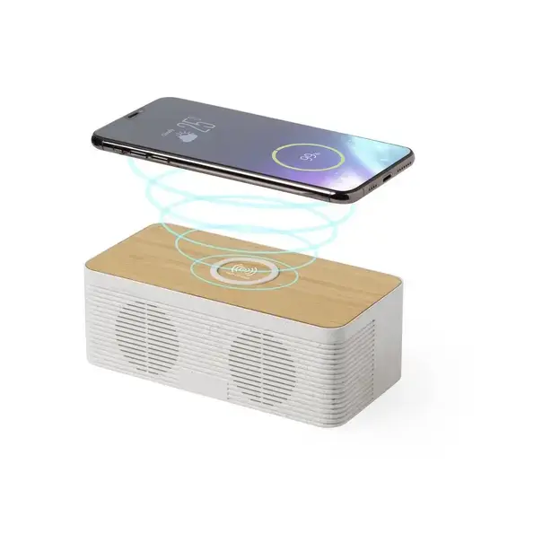 Ladegerät Lautsprecher Trecam