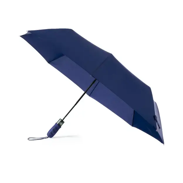 Umbrella Elmer