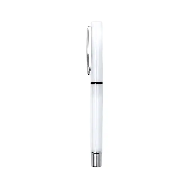 Rollerball pen Leyco