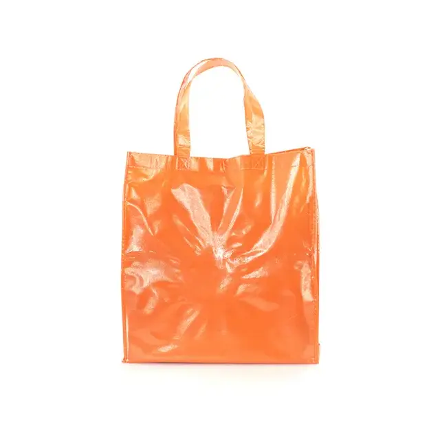 Bag Divia