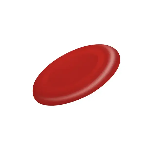 Frisbee Girox