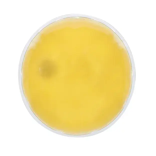 Taschenwärmer Kison