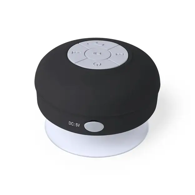 Speaker Rariax
