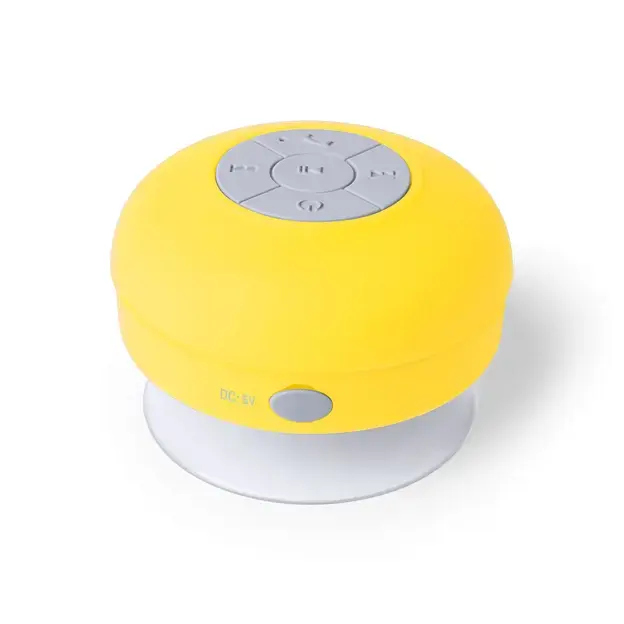 Speaker Rariax