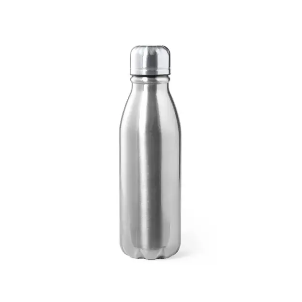 Trinkflasche Raican - silber