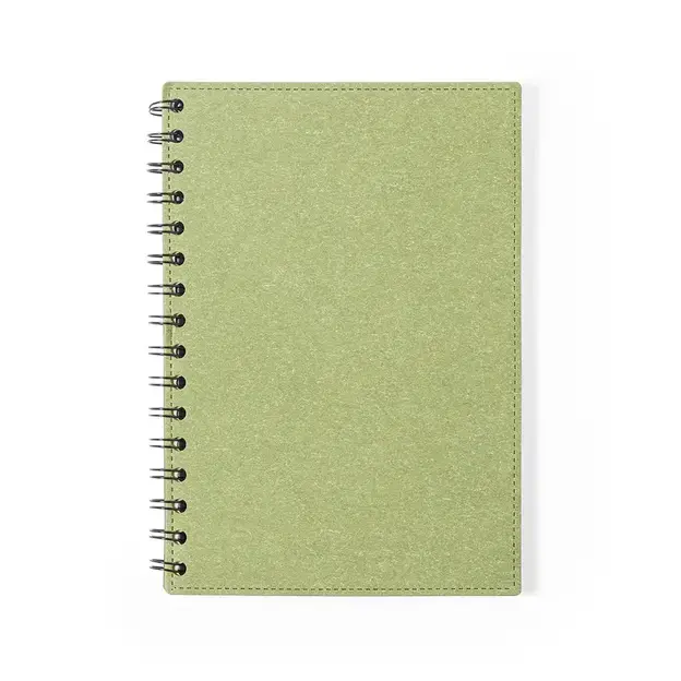Notebook Idina