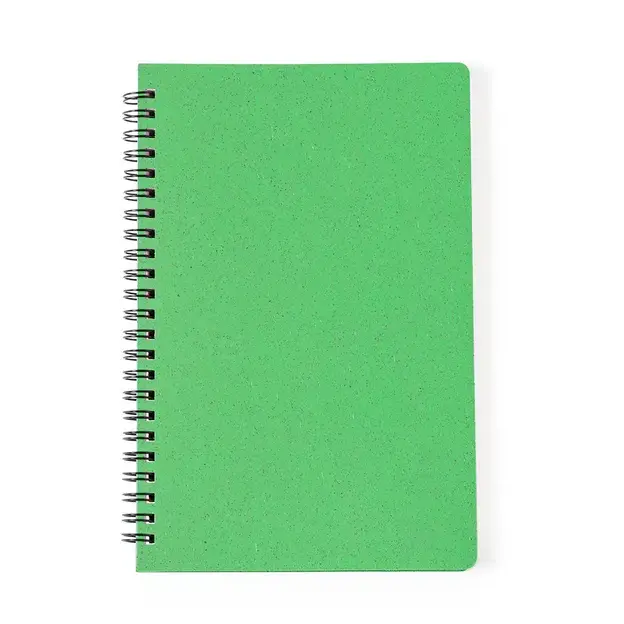 Notizbuch Roshan - grün