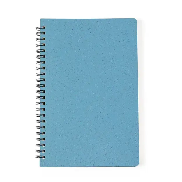Notizbuch Roshan