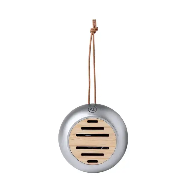 Speaker Hiwent