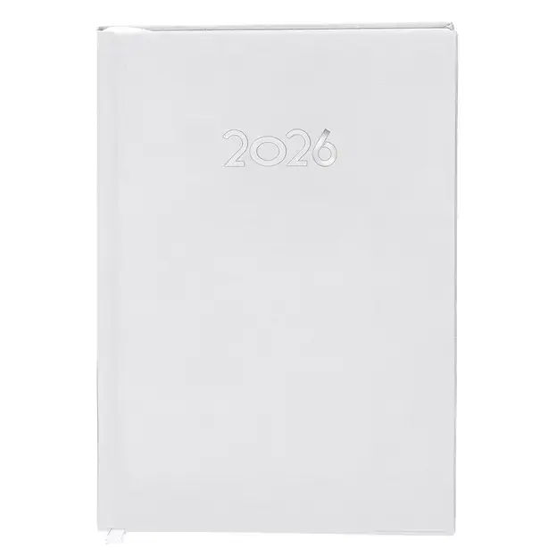 Diary Canek