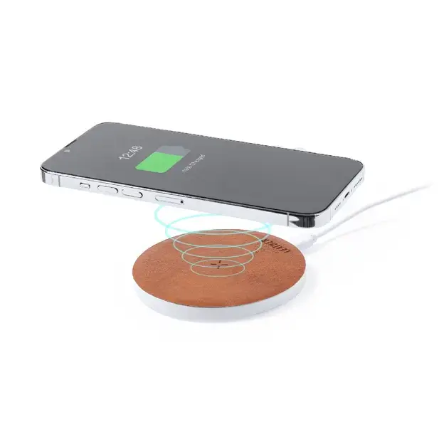 Ladegerät Sarkul RCS