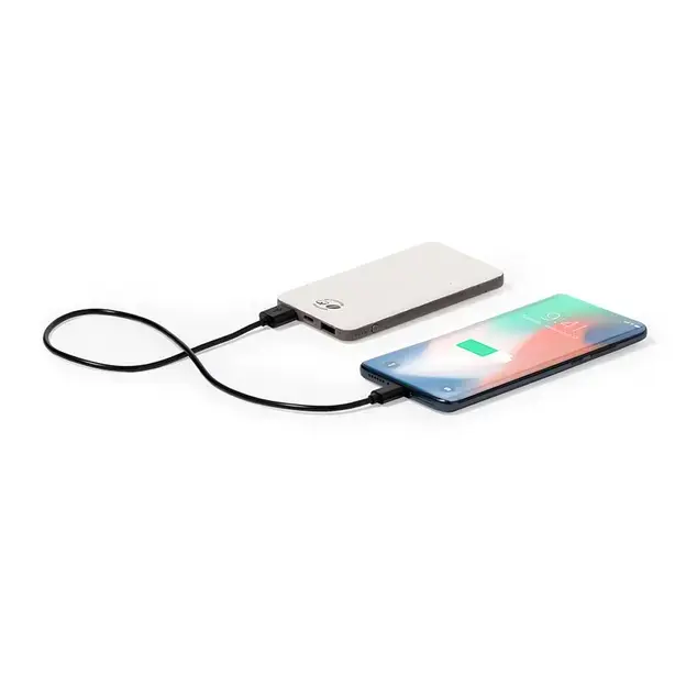 Power bank Mayer