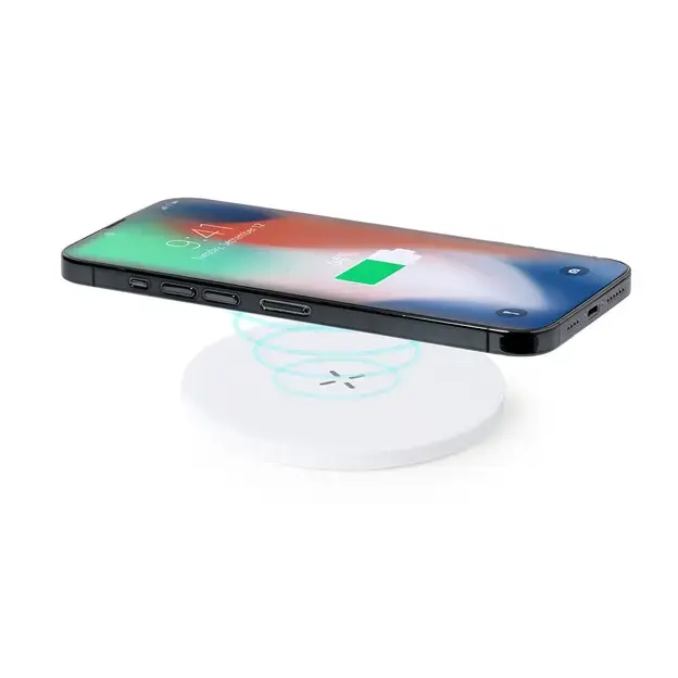 Charger Kambel RCS