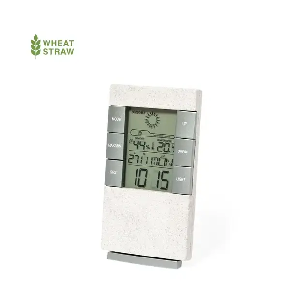 Wetterstation Maginly