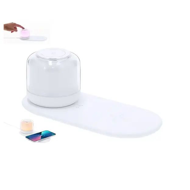 Ladegerät Lampe Reginal