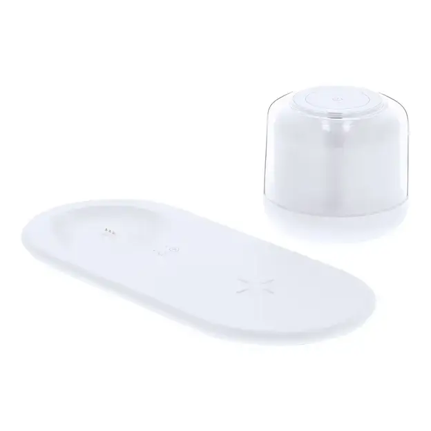 Ladegerät Lampe Reginal