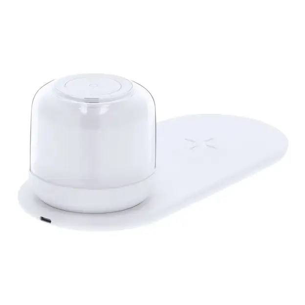 Ladegerät Lampe Reginal