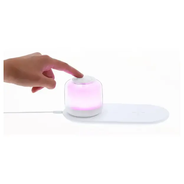 Ladegerät Lampe Reginal