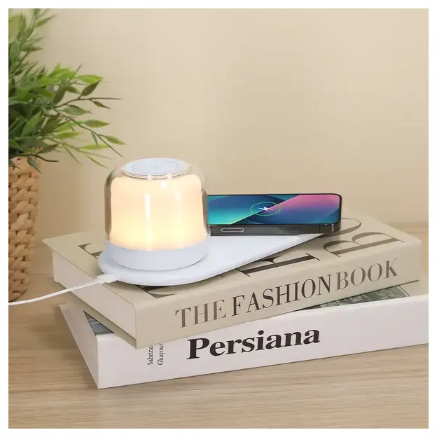 Ladegerät Lampe Reginal