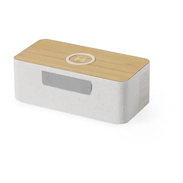 Ladegerät Lautsprecher Trecam