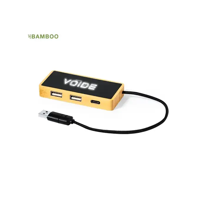 USB Hub Ginger