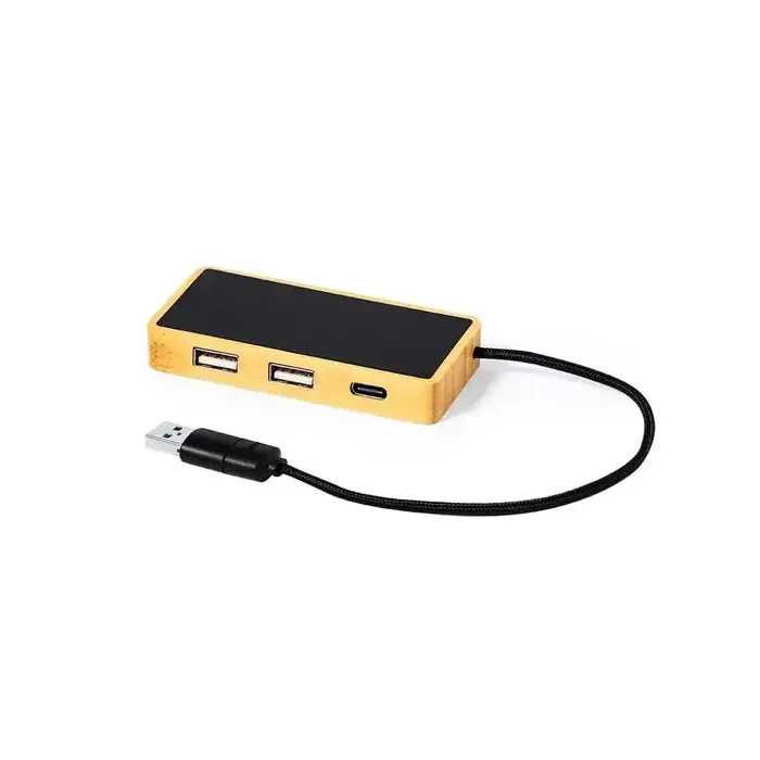 USB Hub Ginger