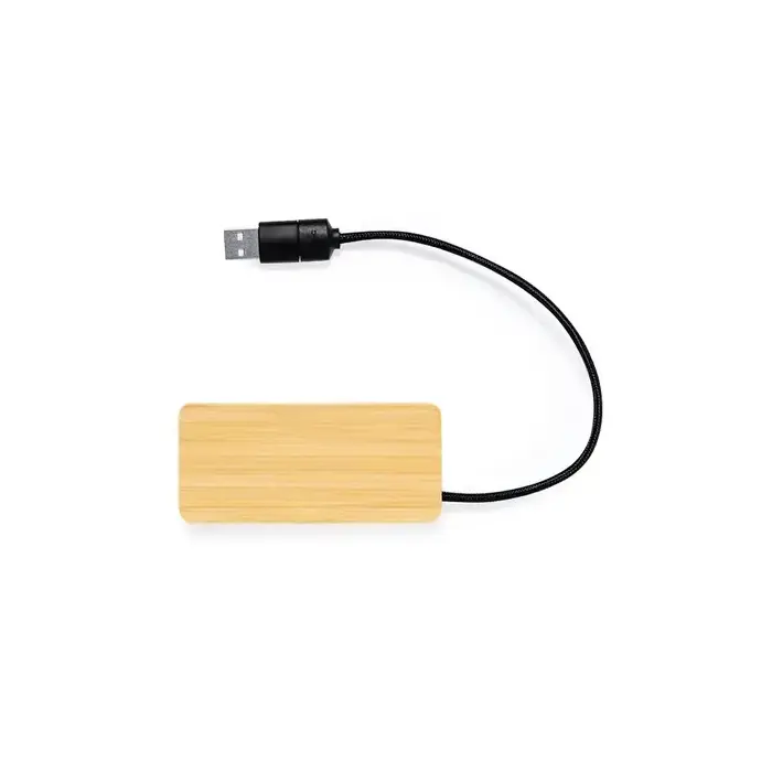 USB Hub Ginger