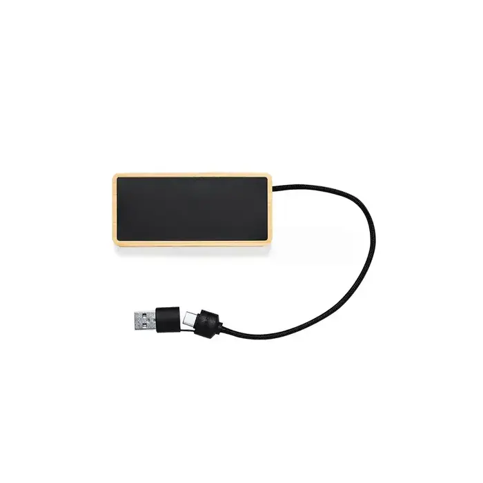 USB Hub Ginger