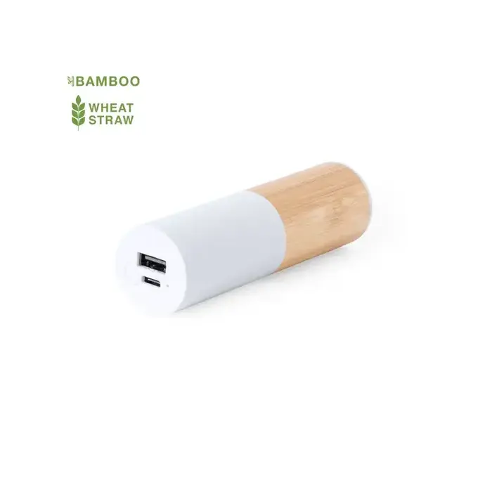 Powerbank Reneh