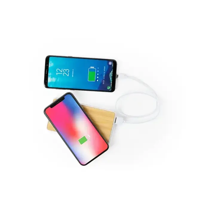 Powerbank Dickens