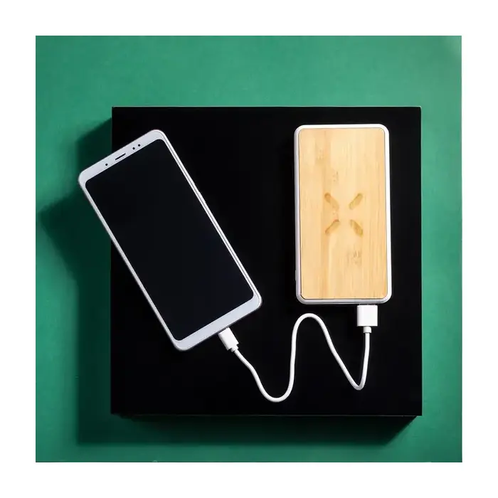 Powerbank Dickens