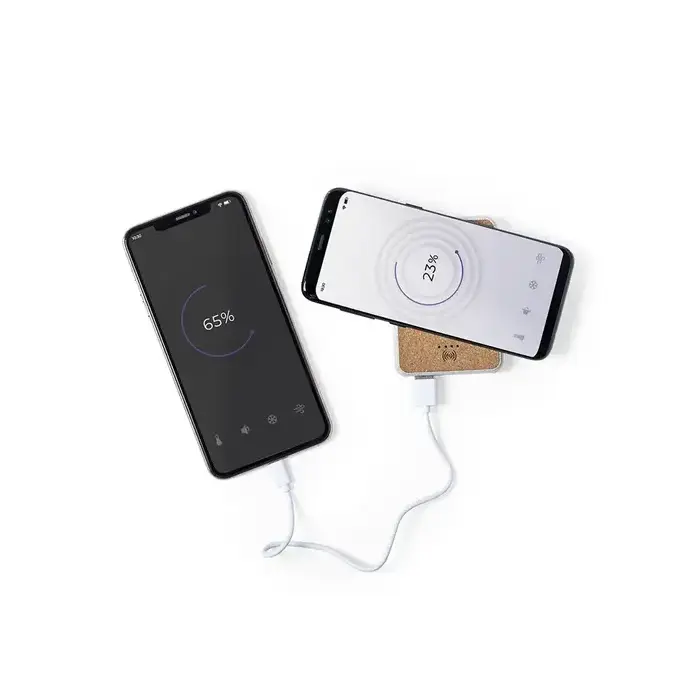 Powerbank Merak