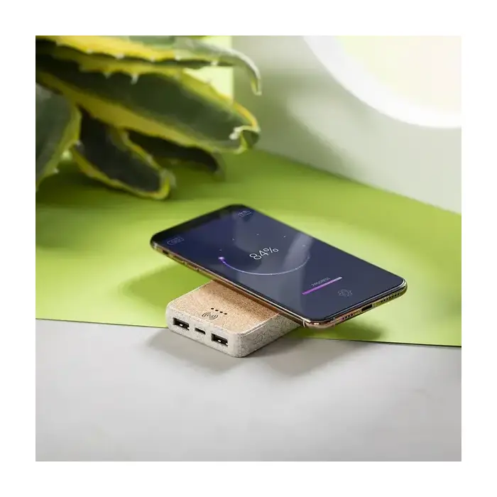 Powerbank Merak