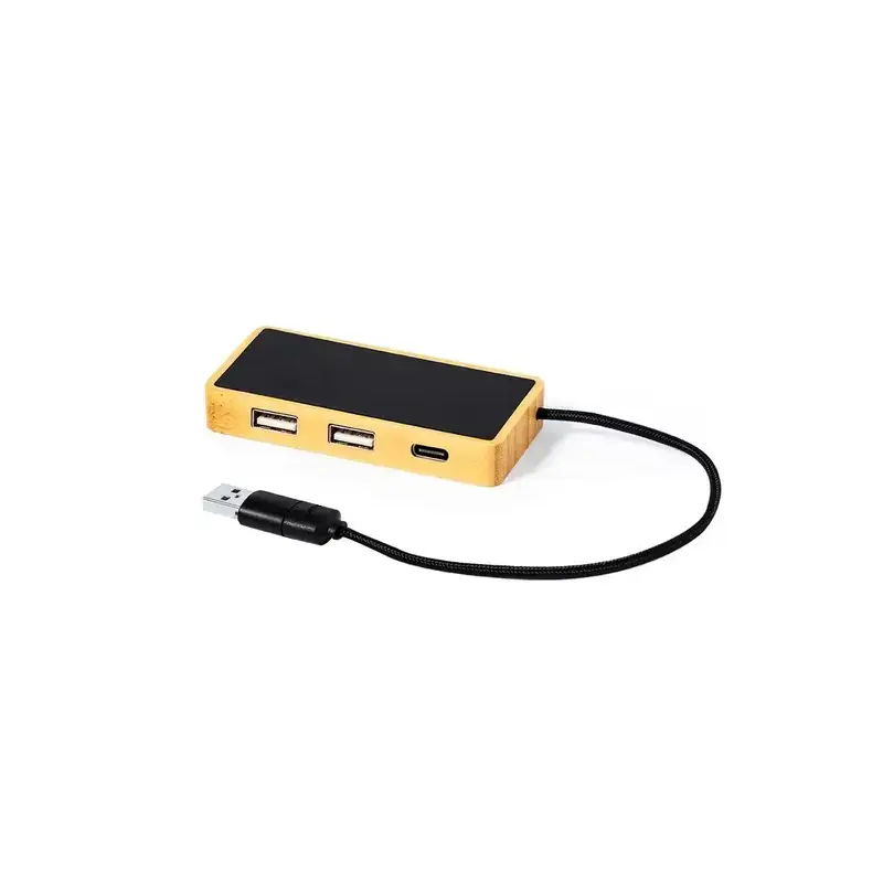 USB Hub Ginger